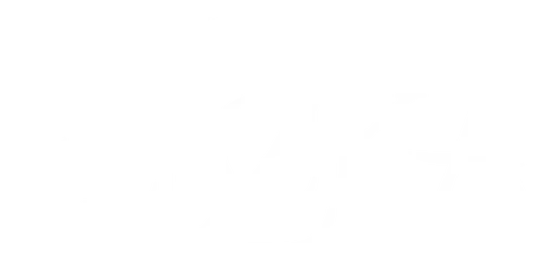 Flicka 2