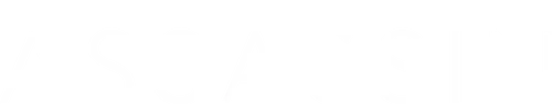 The Assassin