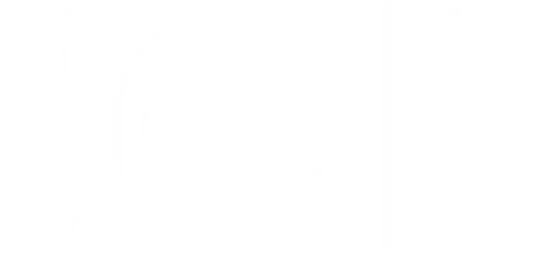 Жизнь кино