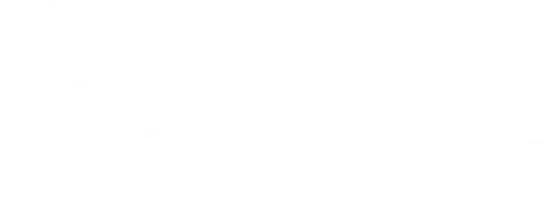 Geek Girl