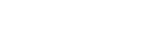 Die Flüchtigen