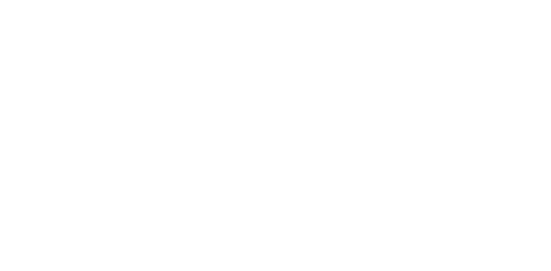 Art of Eight Limbs