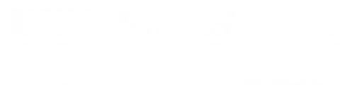 The Ideal Palace