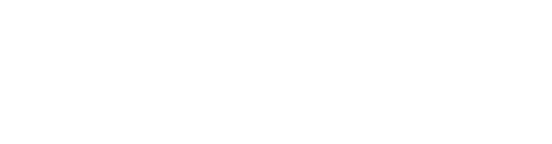 The Shrouds