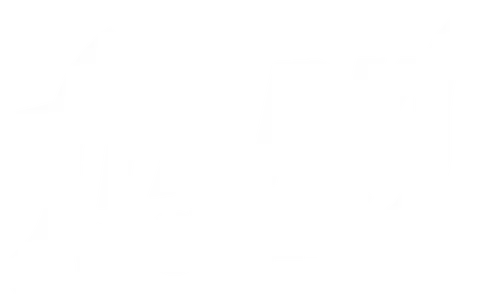 The Sparks Brothers
