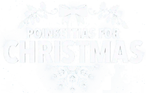 Zurück zu den Weihnachtssternen
