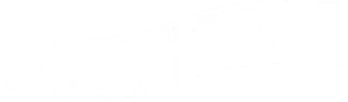 The Gunfighter