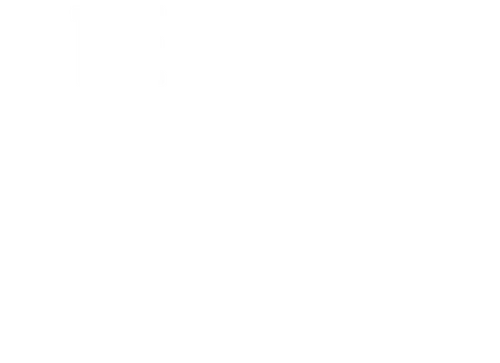 The Brutalist