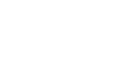Bad Samaritan