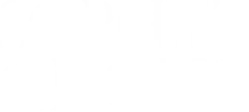 Sophies Entscheidung