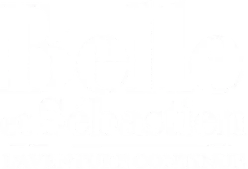Belle et Sébastien, l'aventure continue
