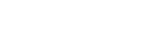 Fast & Furious: Hobbs & Shaw