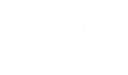 Four Lions