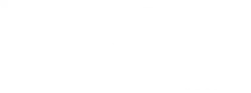 Karibische Affäre