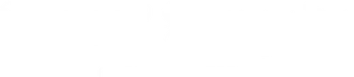 Bones Brigade: An Autobiography