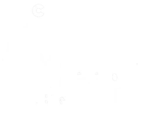 Ovino va in città
